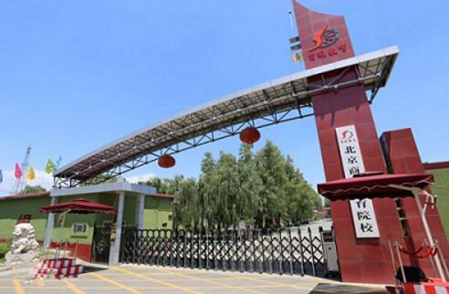 北京商鯤學(xué)院可以學(xué)習(xí)高鐵乘務(wù)專業(yè)嗎？