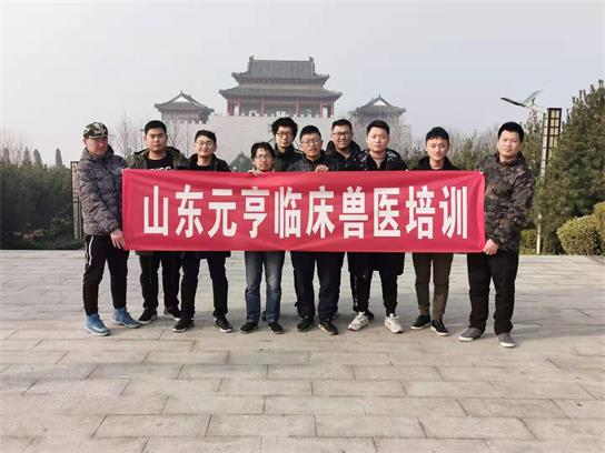 想當(dāng)獸醫(yī)要學(xué)什么？   