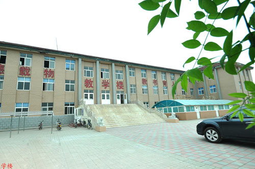 滄州國興職業(yè)技術(shù)學(xué)校哪些專業(yè)比較不錯？