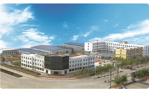 827158846520210506135255_9000 827158846520210506135255_9000