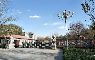 幼師專業(yè)都學習那些內容？   