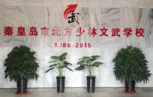 秦皇島北方少林文武學(xué)校就業(yè)如何？這答案你放心！