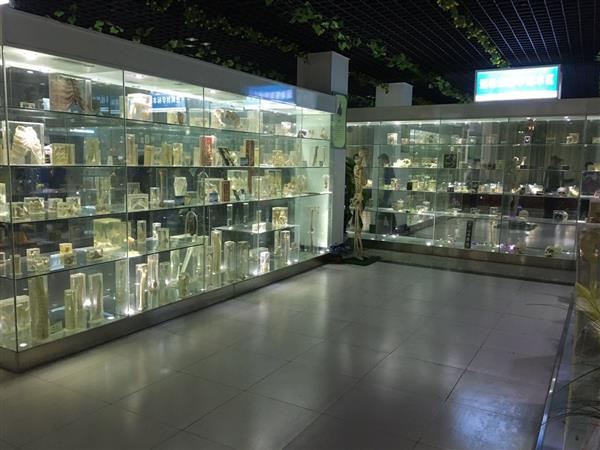 山東人民學(xué)院有沒(méi)有就業(yè)保障？