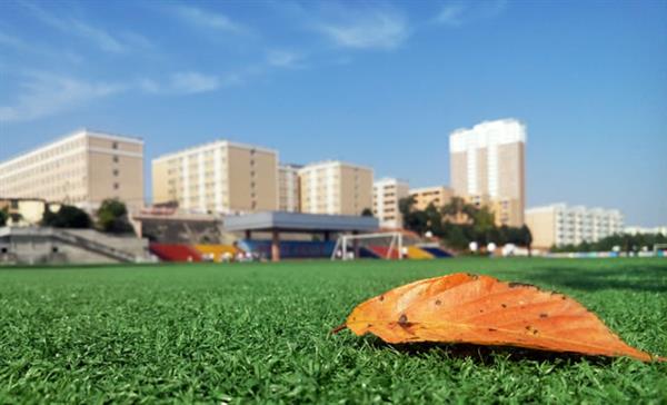 山東省陽谷軍校職教中心有哪些熱門專業(yè)？