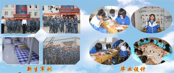 青島海信中心聯(lián)校收費(fèi)標(biāo)準(zhǔn)是什么？