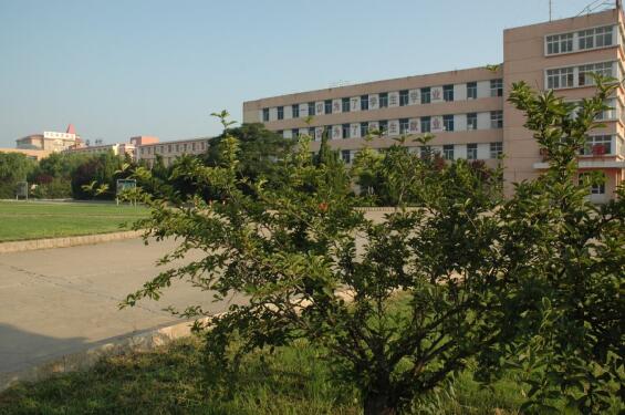 山東龍口礦業(yè)集團(tuán)高級(jí)技工學(xué)校有助學(xué)金政策嗎？