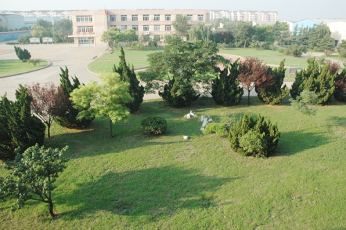 山東龍口礦業(yè)集團(tuán)高級(jí)技工學(xué)校老師們教學(xué)怎么樣？升學(xué)率高嗎？