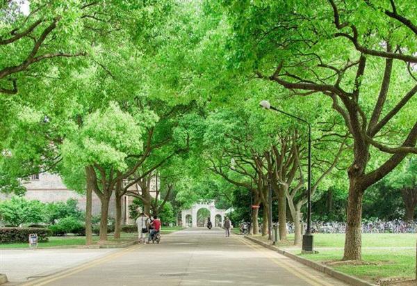 煙臺南山學院都有哪些辦學優(yōu)勢？