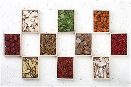 山東醫(yī)藥技師學院中藥系專業(yè)有哪些？