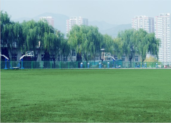 青島滿天星職業(yè)培訓(xùn)學(xué)校怎么樣？