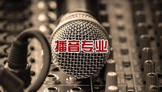 北京吉利學(xué)院華視傳媒學(xué)院有藝術(shù)相關(guān)專業(yè)嗎？