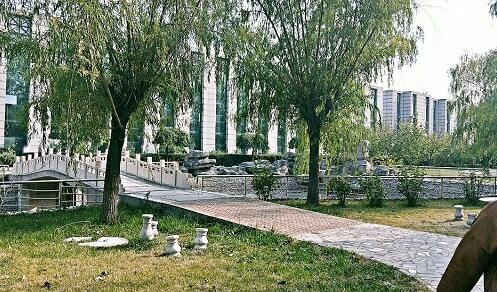 保定平安技工學校動漫設(shè)計專業(yè)上什么課程？   