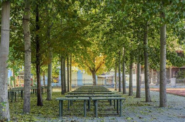 山東電子職業(yè)技術(shù)學(xué)院哪里好？