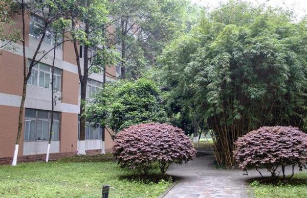 德州華夏美容美發(fā)學校怎么樣？