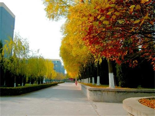 北京現(xiàn)代體育學(xué)院、航空乘務(wù)學(xué)院設(shè)施好嗎？