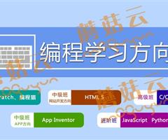 孩子為什么要盡早學習少兒編程。濟寧蘑菇云少兒編程