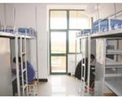 煙臺汽車工程職業(yè)學院開設哪些專業(yè)？