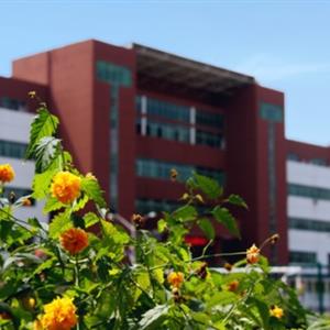 石家莊經(jīng)濟職業(yè)學(xué)院